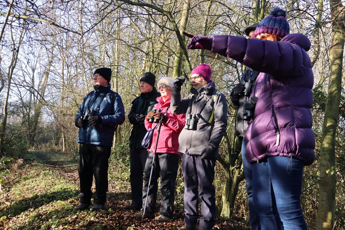 Nene Wetlands New Year Wildlife Wander