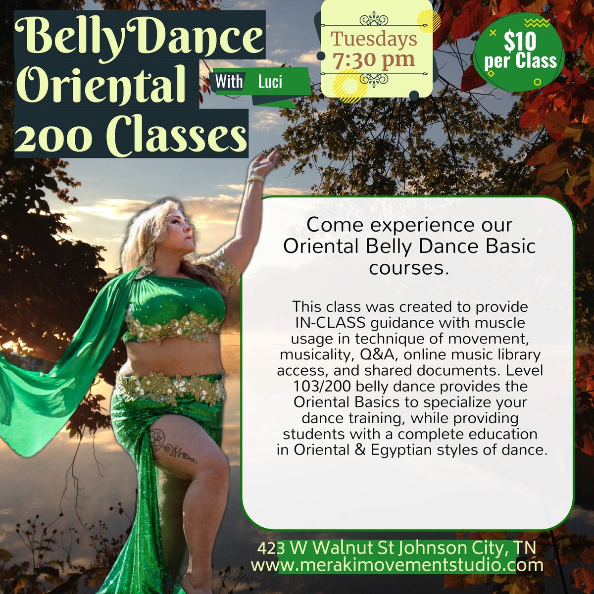Belly Dance Class - Oriental Style - Level 103\/200