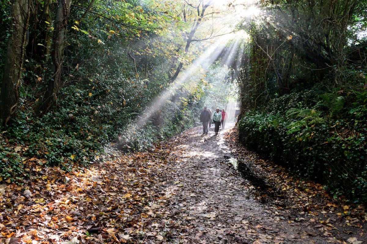 Mindfulness Walk