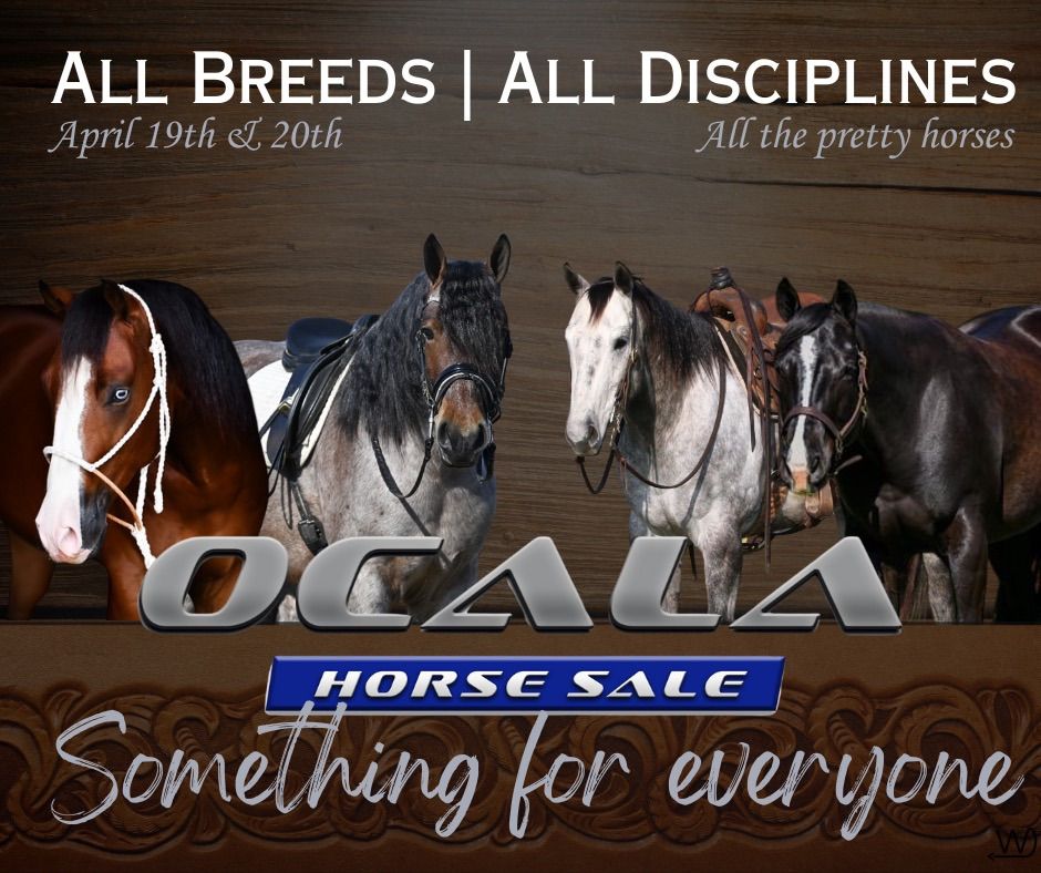 Ocala Horse Sale Spring Catalog Sale 