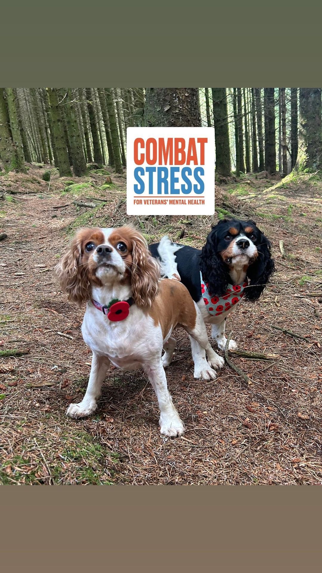 Combat Stress Fundraising Walk