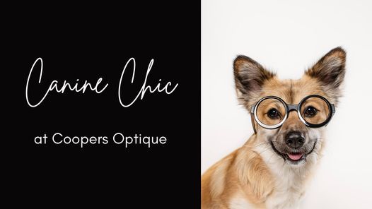 Canine Chic at Coopers Optique