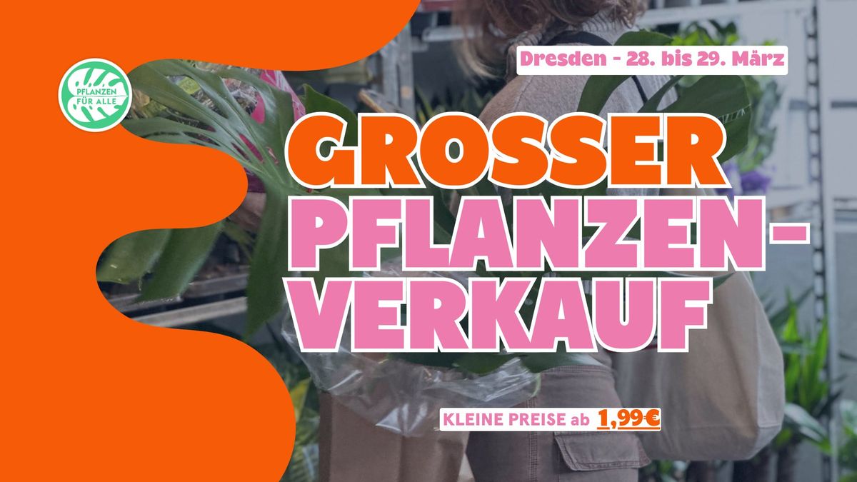 Gro\u00dfer Pflanzenverkauf - Dresden