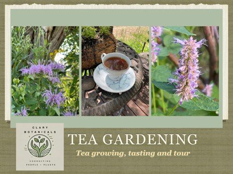 Tea Gardening Workshop