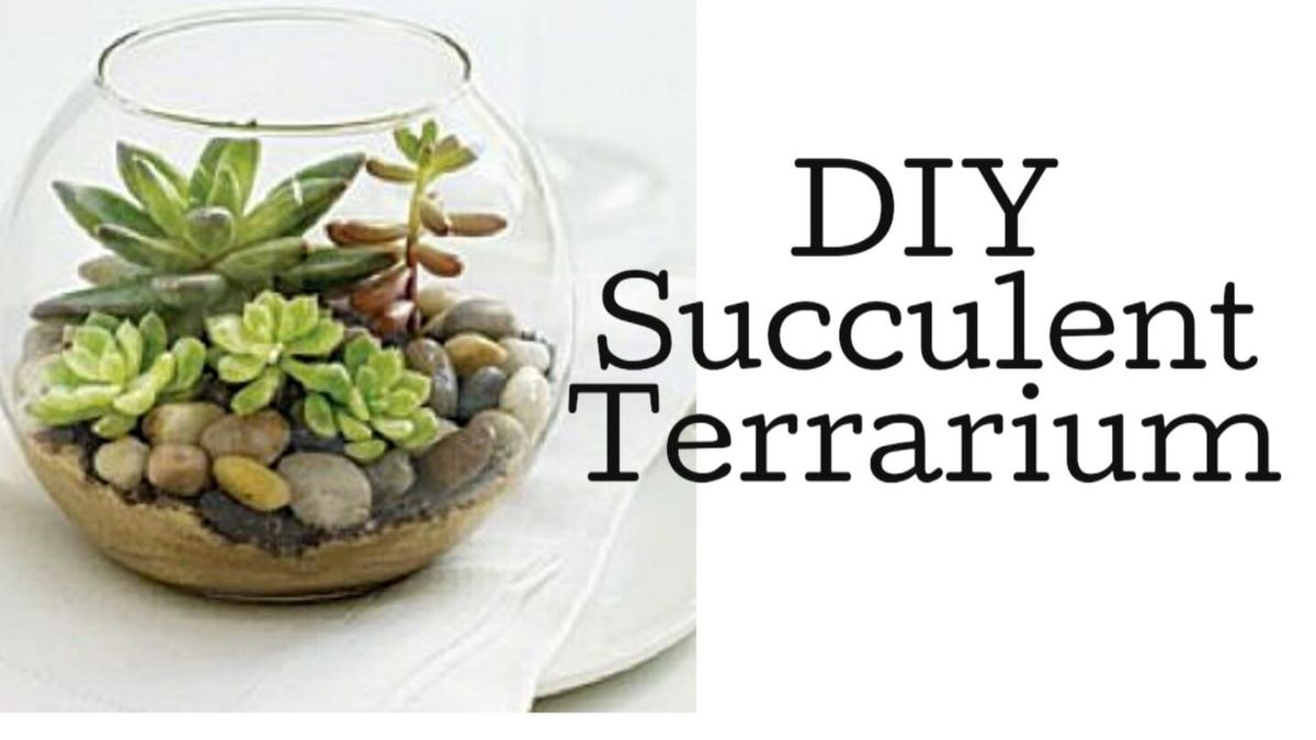 Make Your Own Succulent Terrarium