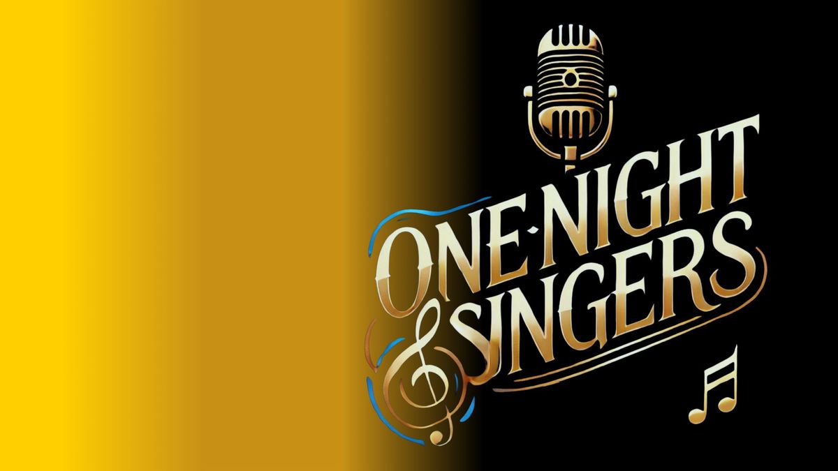 One Night Singers  -  pop-up kor i Silkeborg