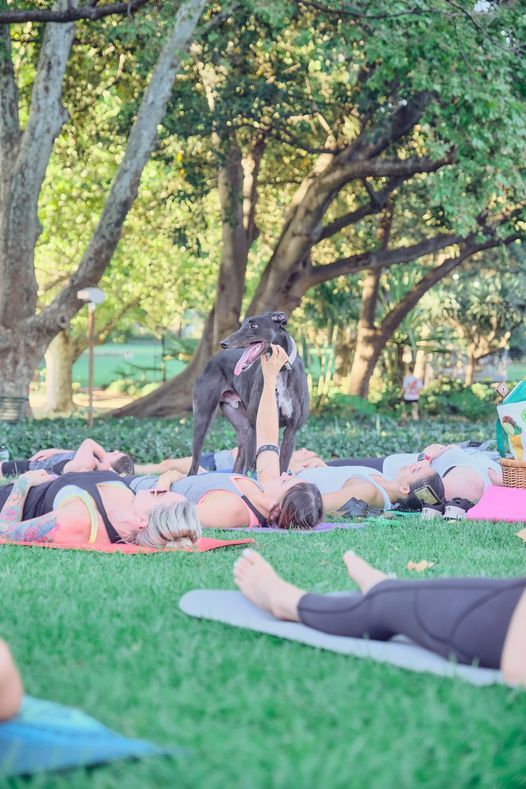 Sunset YOGA In The Park Perth *FUNDRAISER*