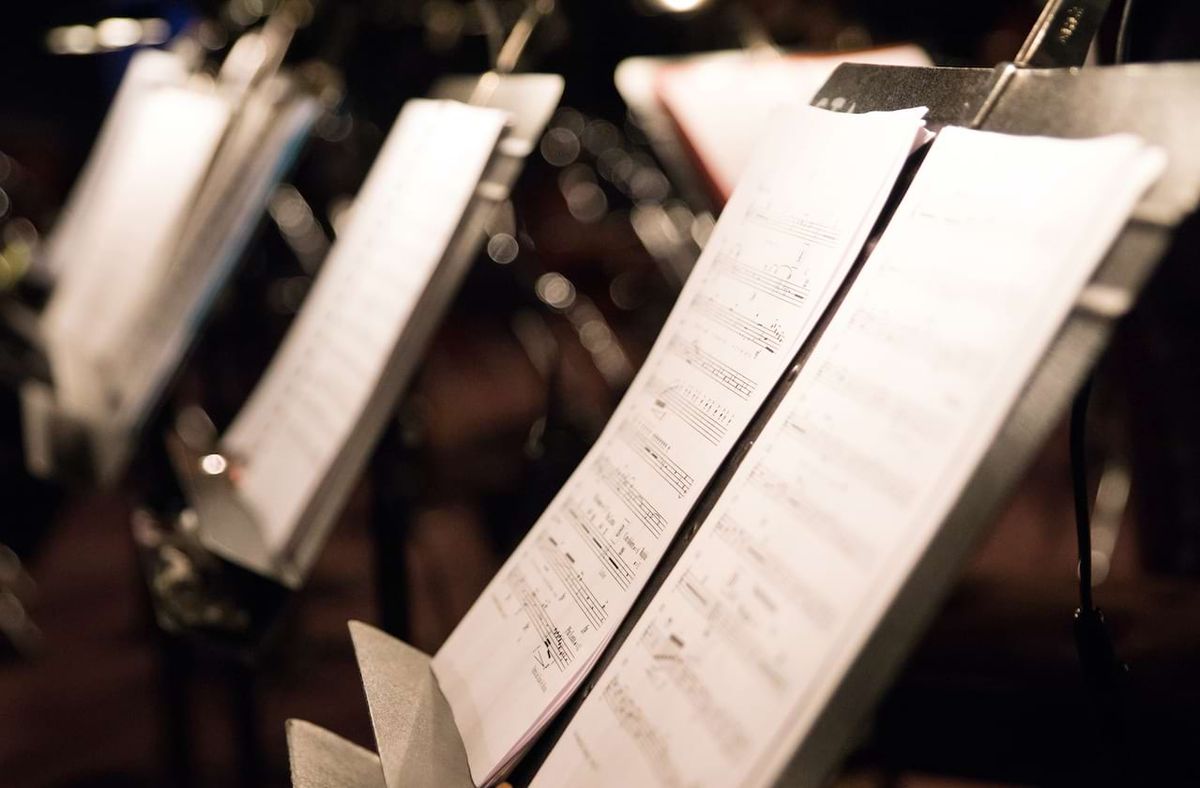 San Francisco Symphony Youth Orchestra: Peter And The Wolf