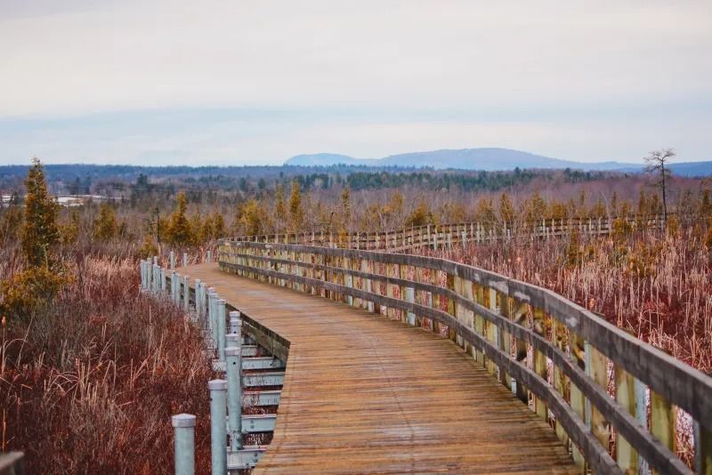 Rando Marais de la Rivi\u00e8re-aux-Cerises & Magog! 