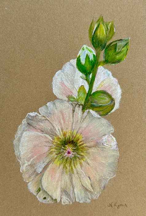 Using Kraft Paper For Your Botanical Drawings with Nancy Lyons