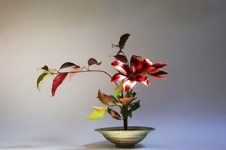 IKEBANA: THE ART OF JAPANESE FLOWER ARRANGING \u2013 Kazuko Iwai