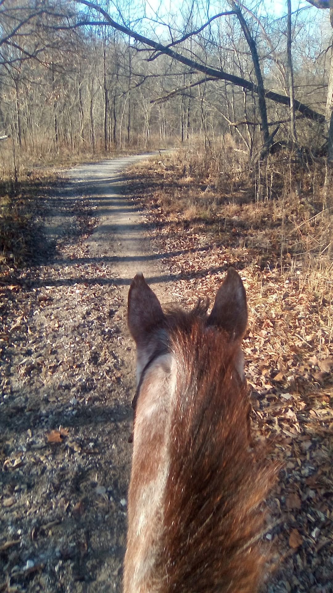 Broken Arrow Appaloosa Association Spring Trail Ride & Meeting