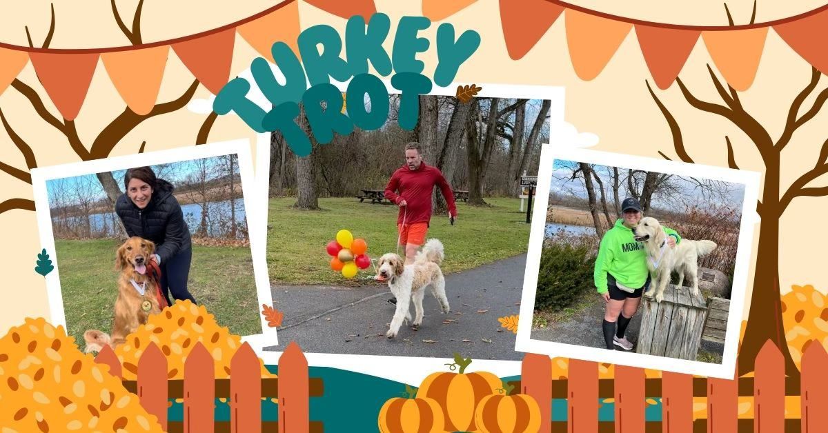 K9 Turkey Trot 