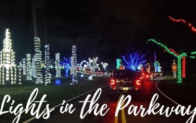 Lights in the Parkway Group RUn