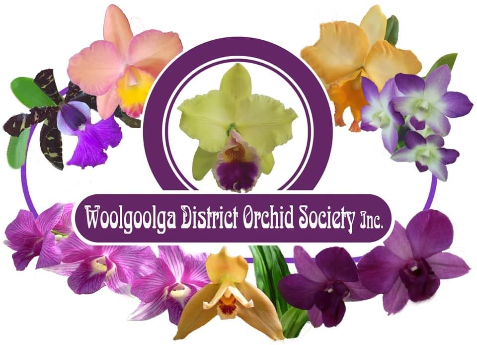 Woolgoolga District Orchid Society Annual Spring Orchid Show
