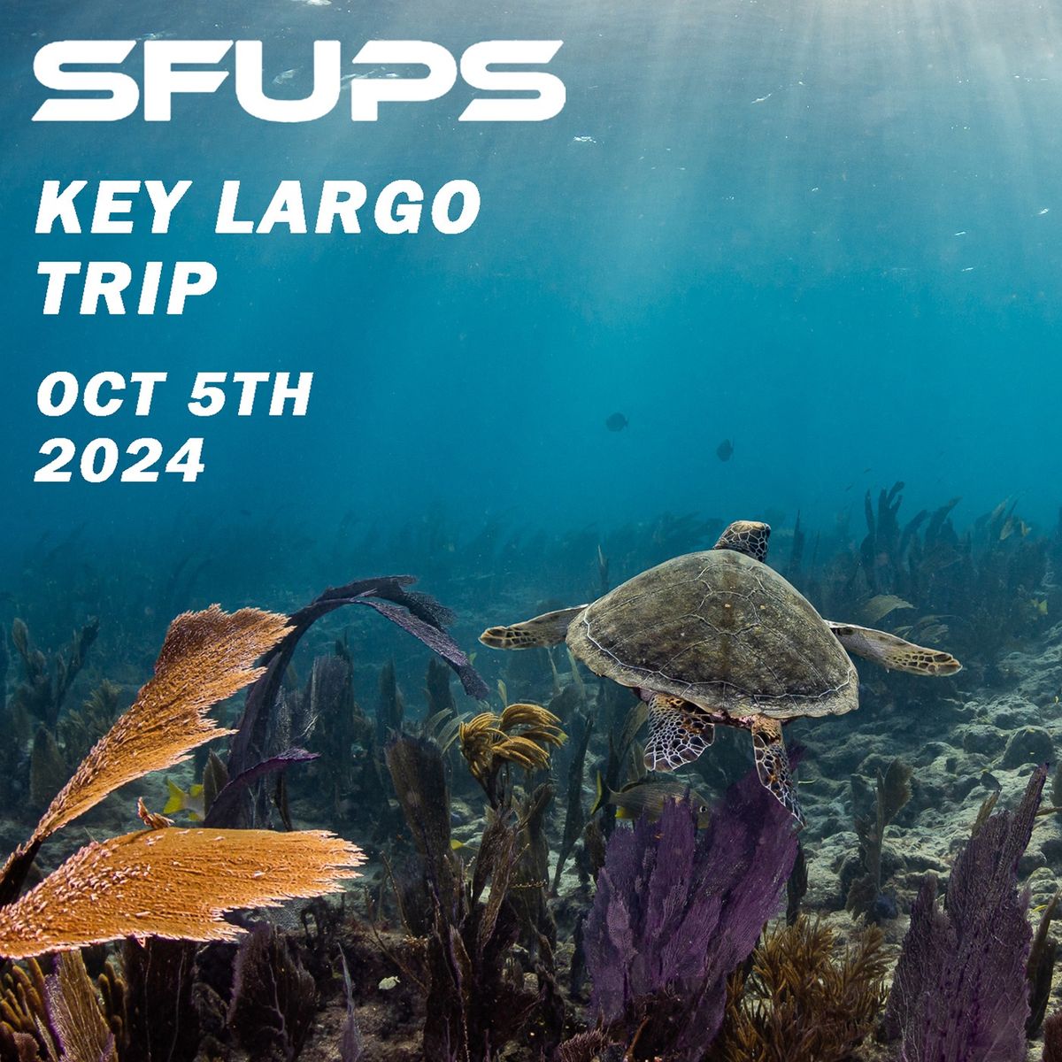 SFUPS Key Largo Group Trip 