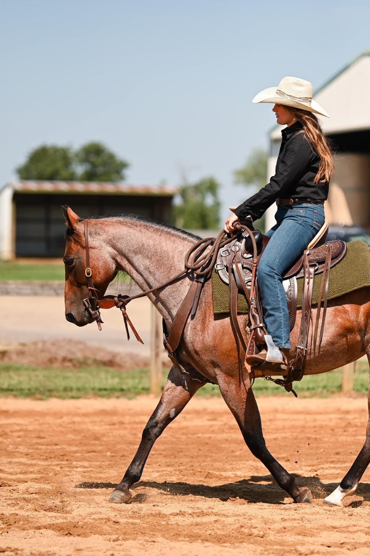 MMH Ranch Show