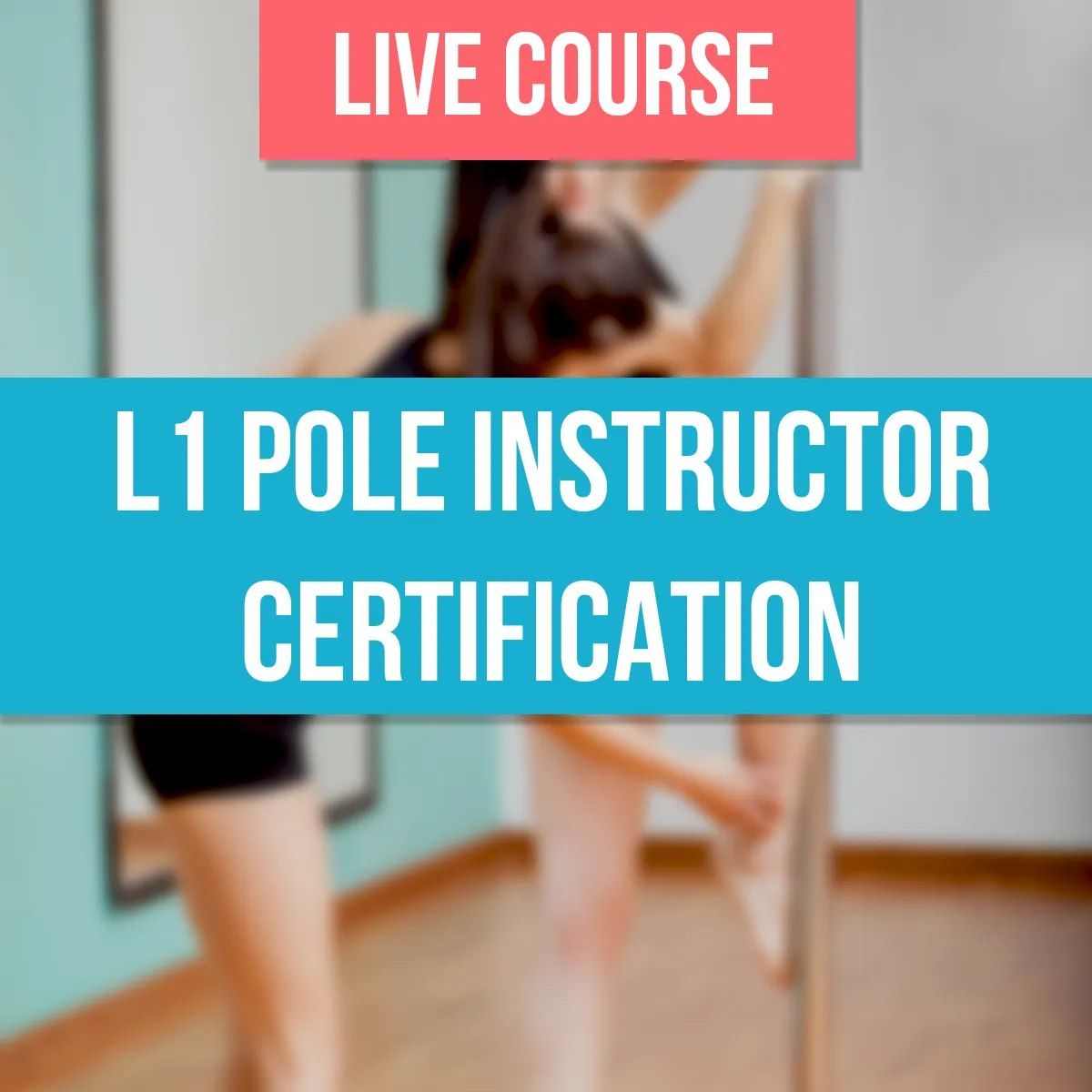 PFA (Pole Fitness Alliance) Level 1 Instructor Training