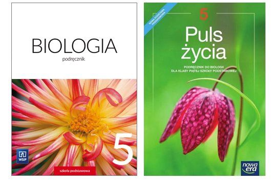 Quizy Z Biologii Klasa 5 Dział 2 Klasa 5. - Kurs z Biologii 2021-22, Biologia i JA - kursy korepetycje