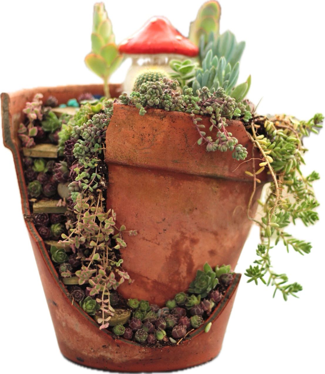 Succulent Fairy Garden House Course