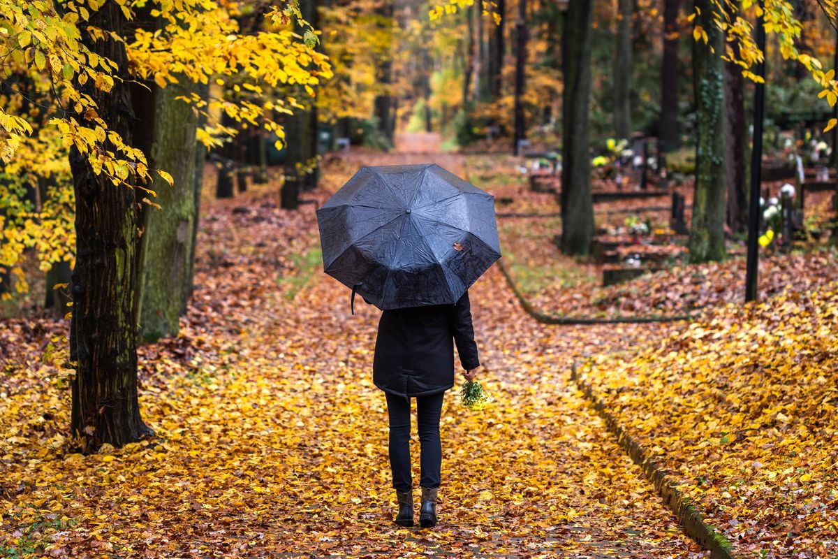 Loss of a Loved One - Adult Therapy Group