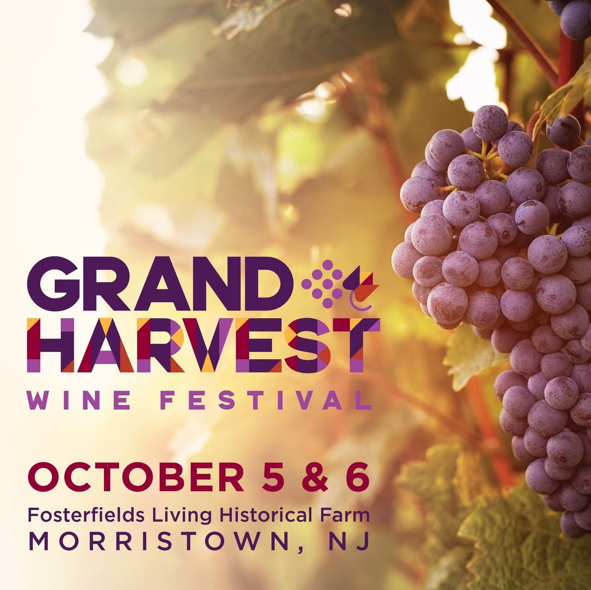 Grand Harvest Wine Festival