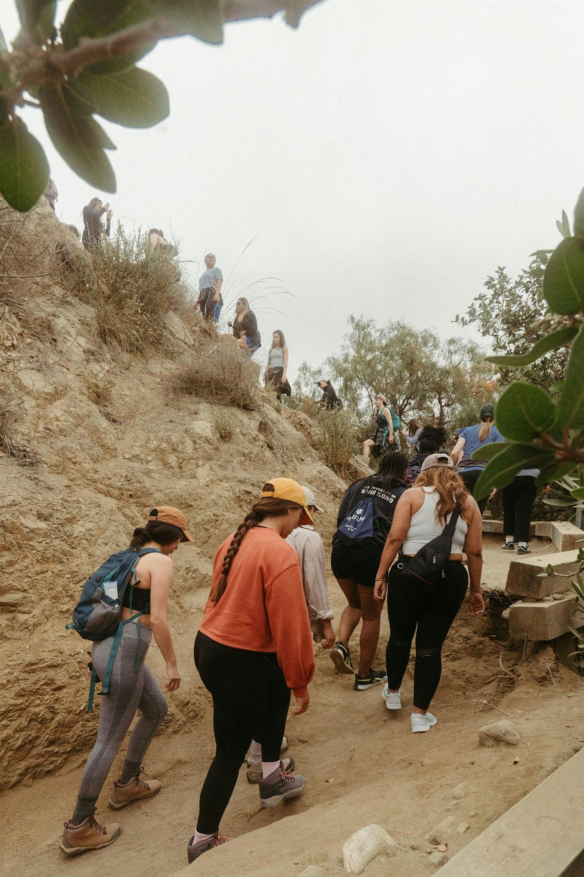 Women of Wellness group hike