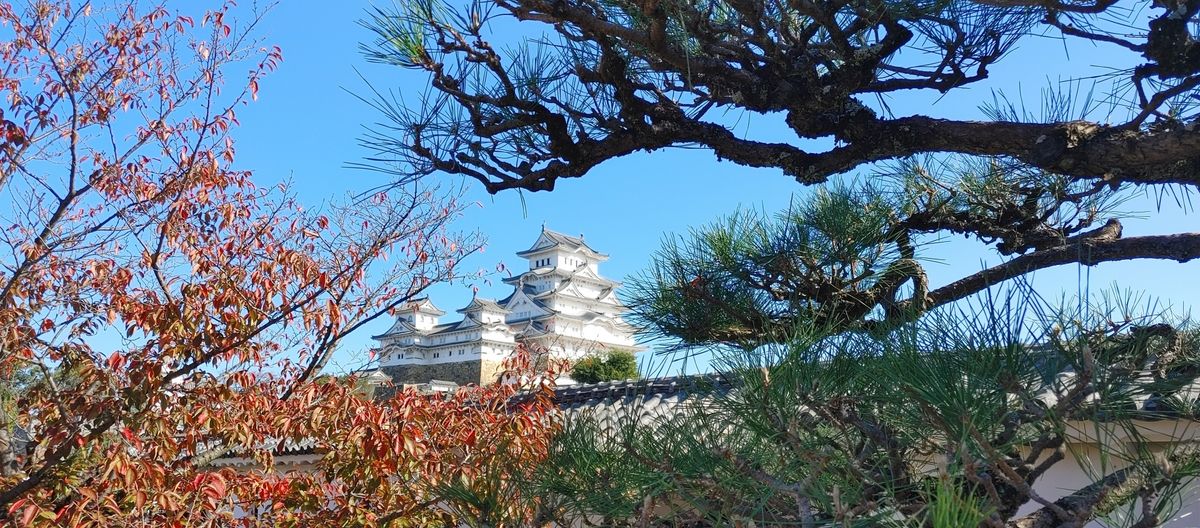 Japonia. Honsiu i Miyajima w kolorach jesieni.