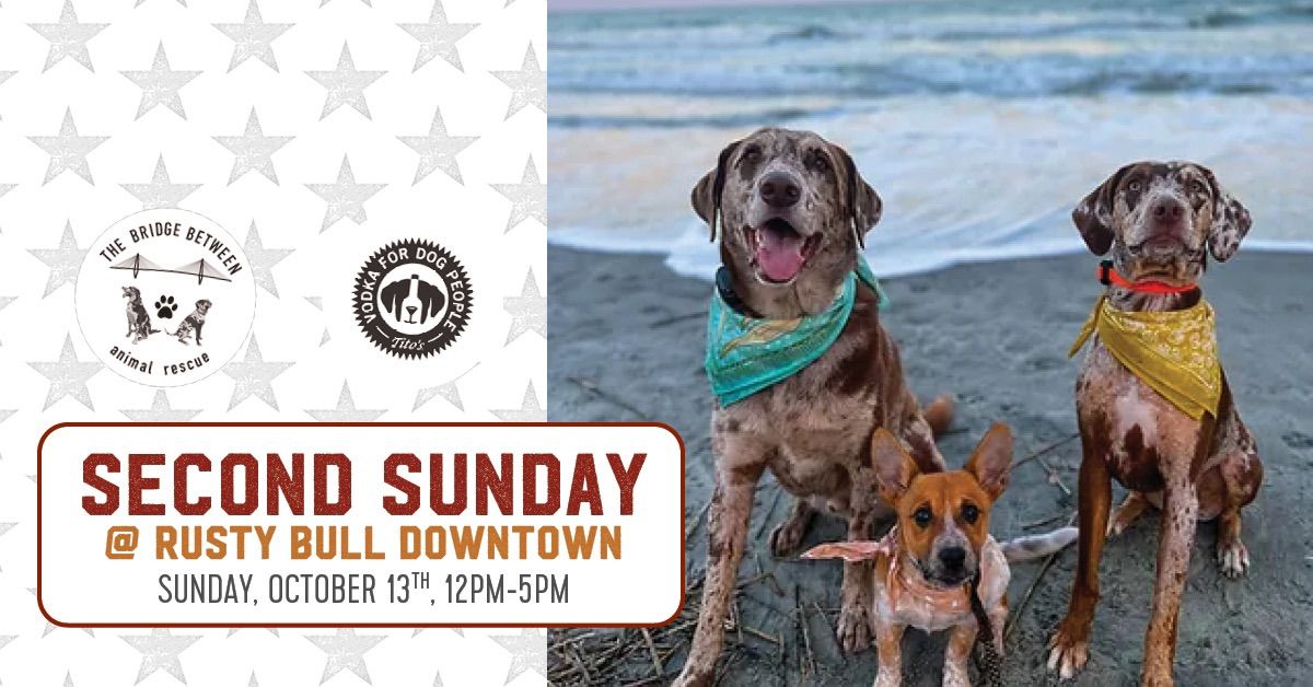 Second Sunday & Yappy Hour