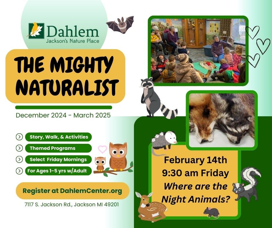 The Mighty Naturalist - Where are the Night Animals