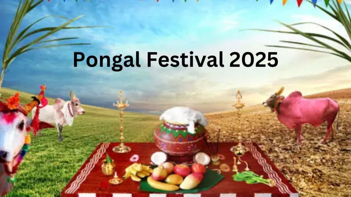 Pongal Festival 2025