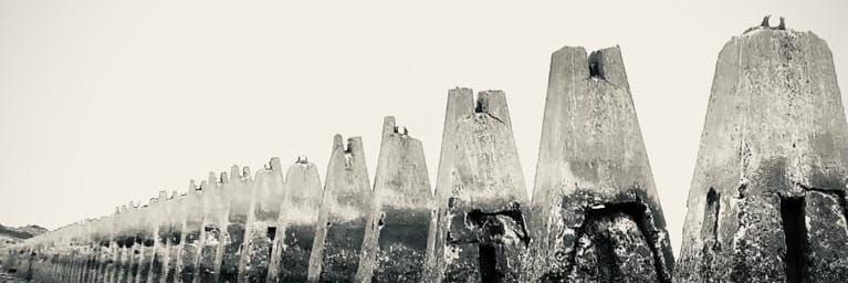 Mapped By A Forest Live Acoustic @ HMV