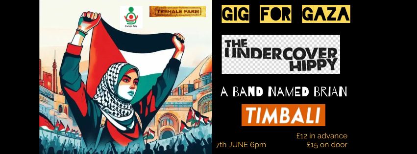 Gig for Gaza- The Undercover Hippy- a BAND NAMED BRIAN - Timbali
