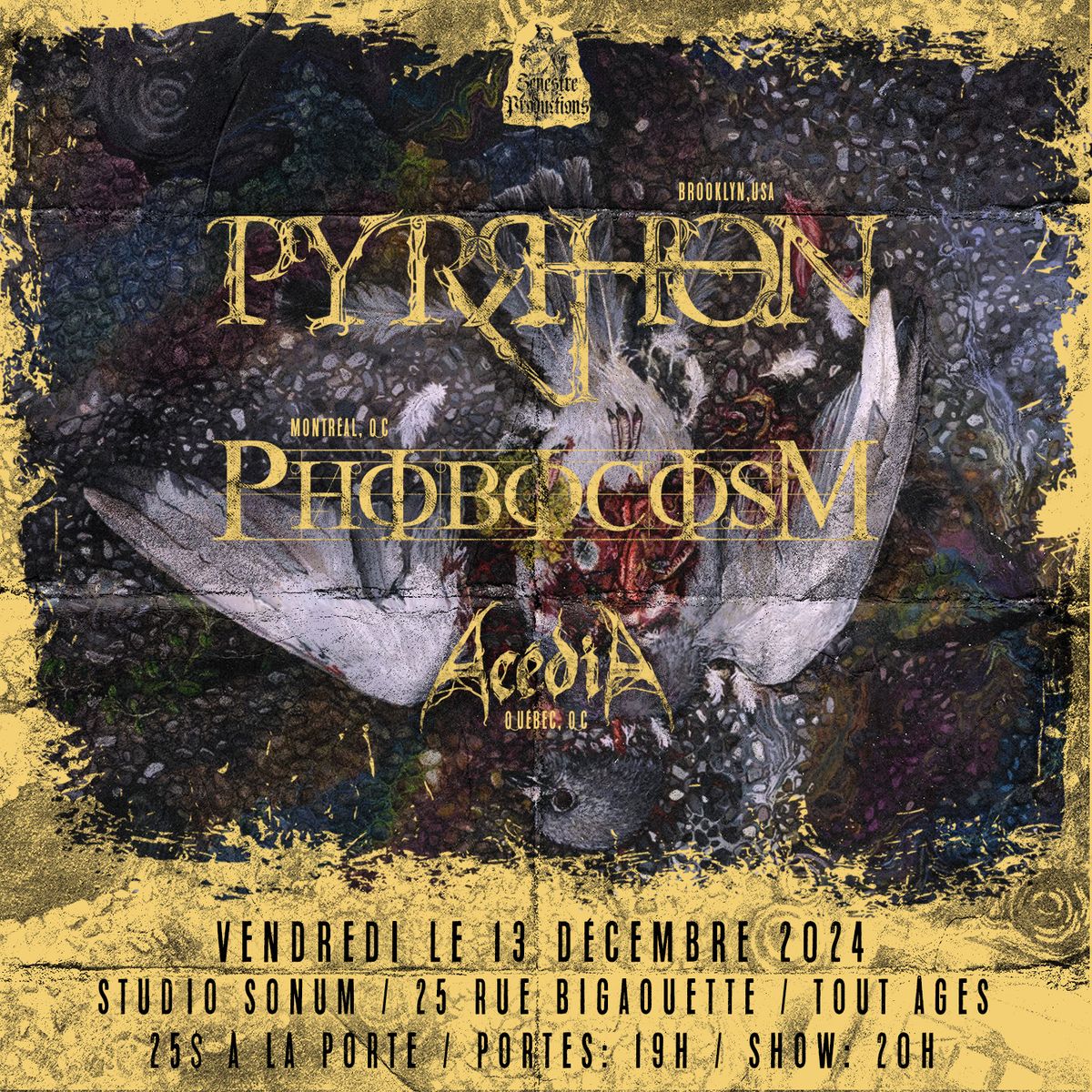 Pyrrhon\/Phobocosm\/Ac\u00e9dia \/\/ Vendredi 13 d\u00e9cembre - Studio Sonum