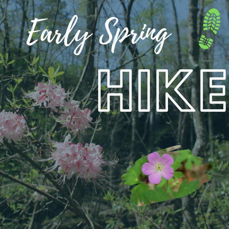 Early Spring Hike