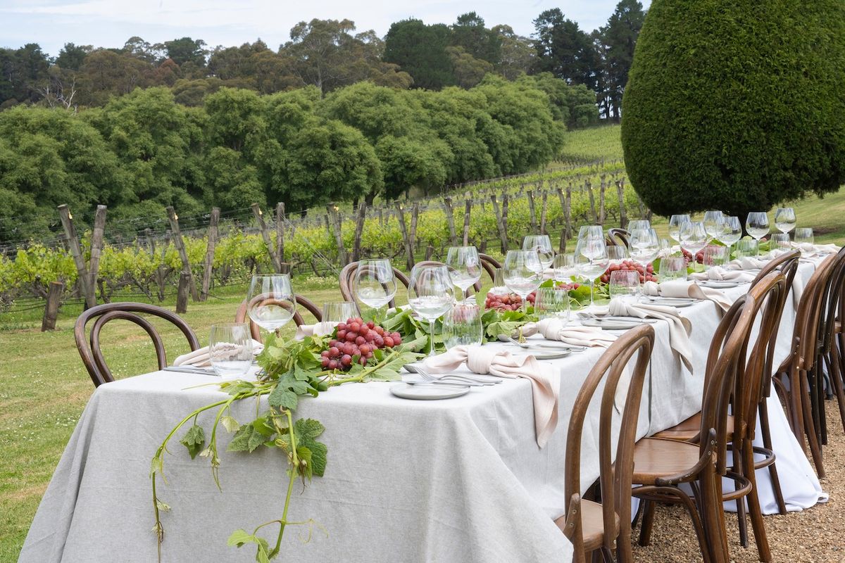 Long Lunch in the Vines | Melbourne Food & Wine Festival