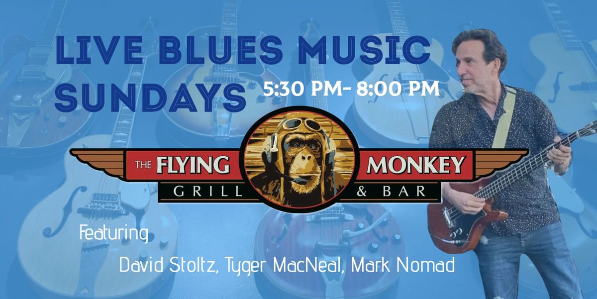 Blues Music Sundays with Stoltz & Co