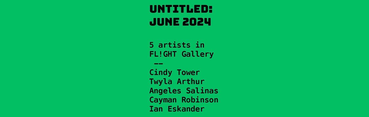 Untitled : June 2024 - 5 artists in FL!GHT 