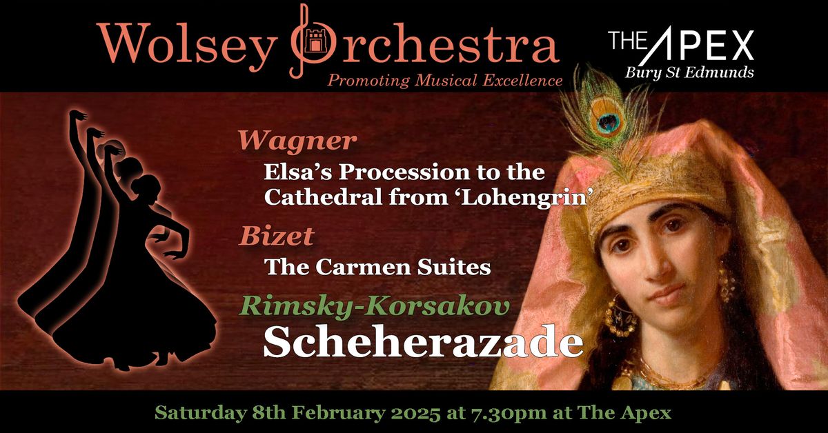 Wolsey Orchestra February Concert