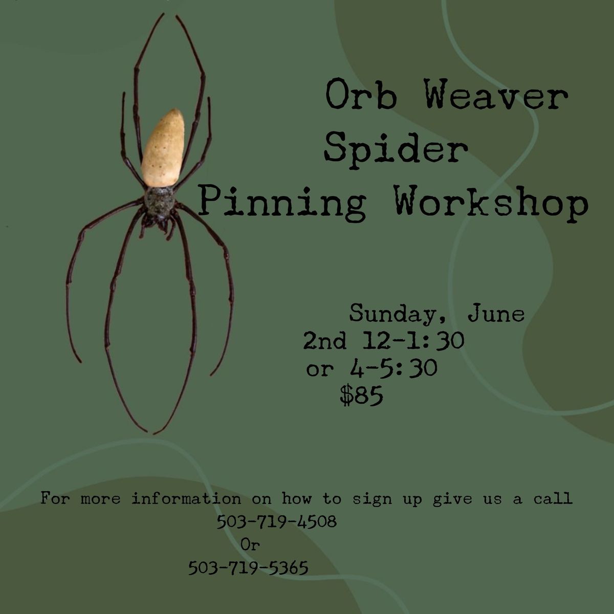 Orb Weaver Pinning Workshop