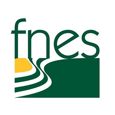 Fnes