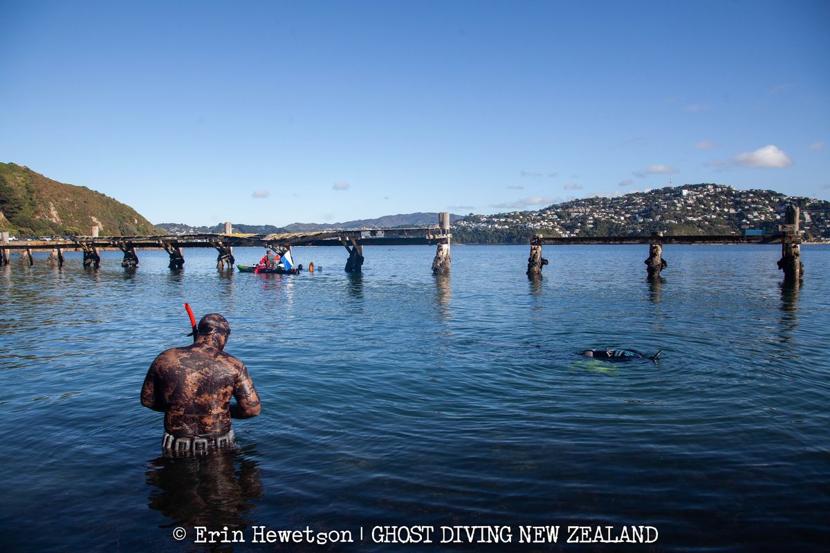 Shelly Bay Cleanup 2024