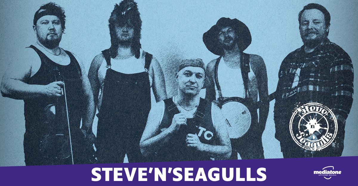 STEVE \u2018N\u2019 SEAGULLS en concert \u00e0 La Rayonne