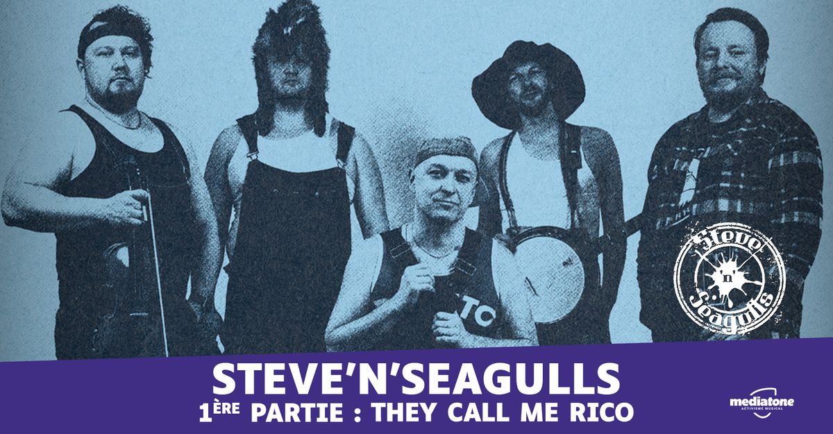 STEVE \u2018N\u2019 SEAGULLS + THEY CALL ME RICO en concert \u00e0 La Rayonne