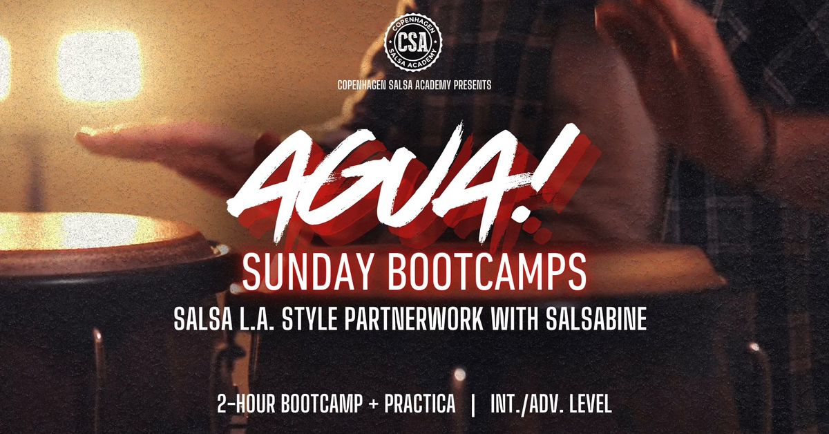 \u2726 AGUA! Sunday Bootcamps | Salsa L.A. Partnerwork with Salsabine \u2726