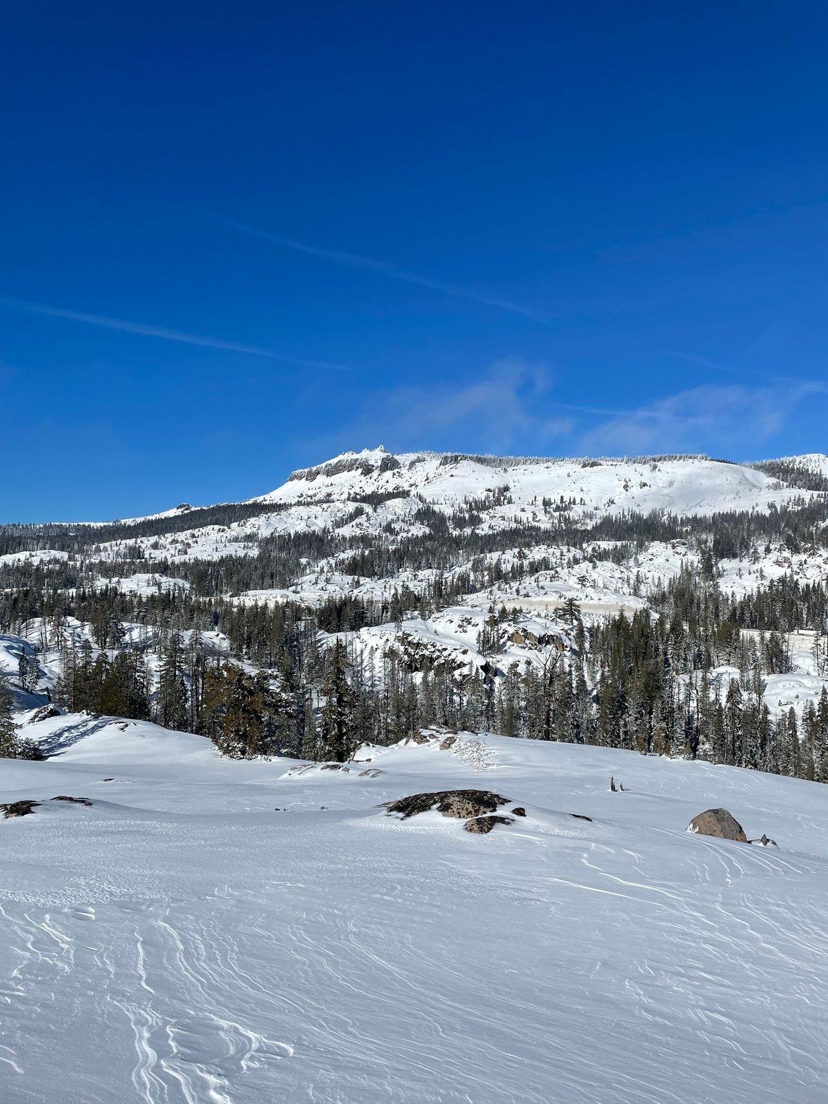 Reno Snowshoe 