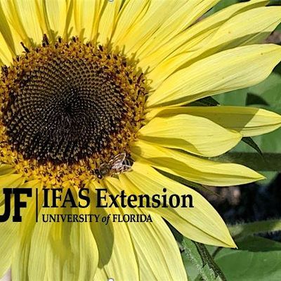 UF-IFAS Broward County Extension