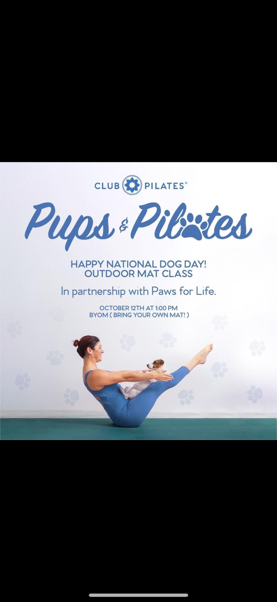 Pups and Pilates