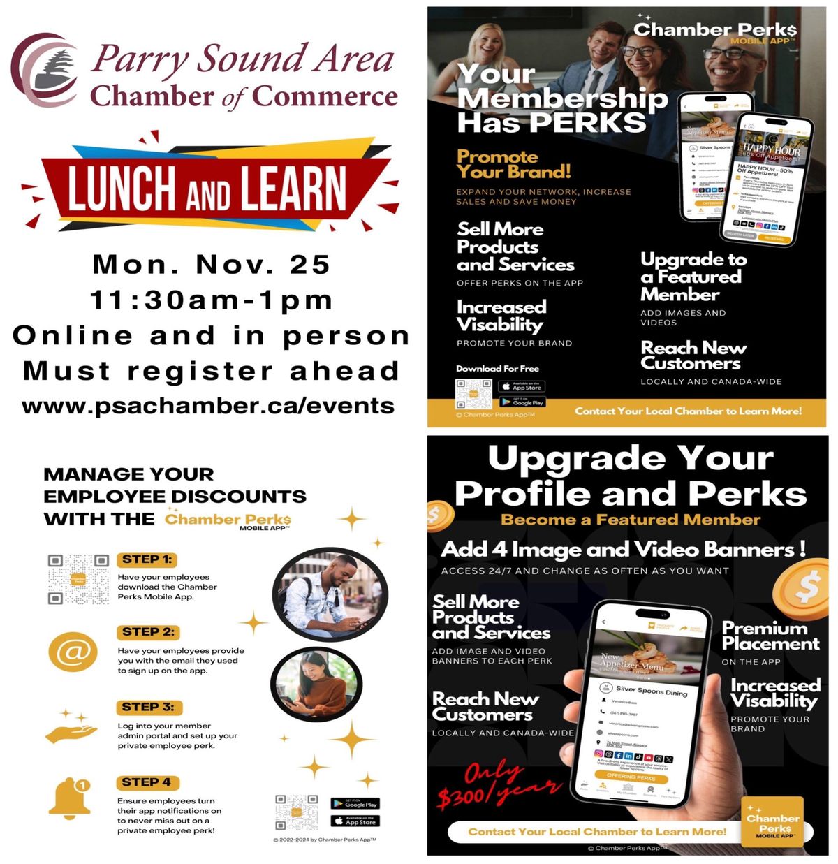 Lunch & Learn: Unlock the Power of the Chamber Perks App