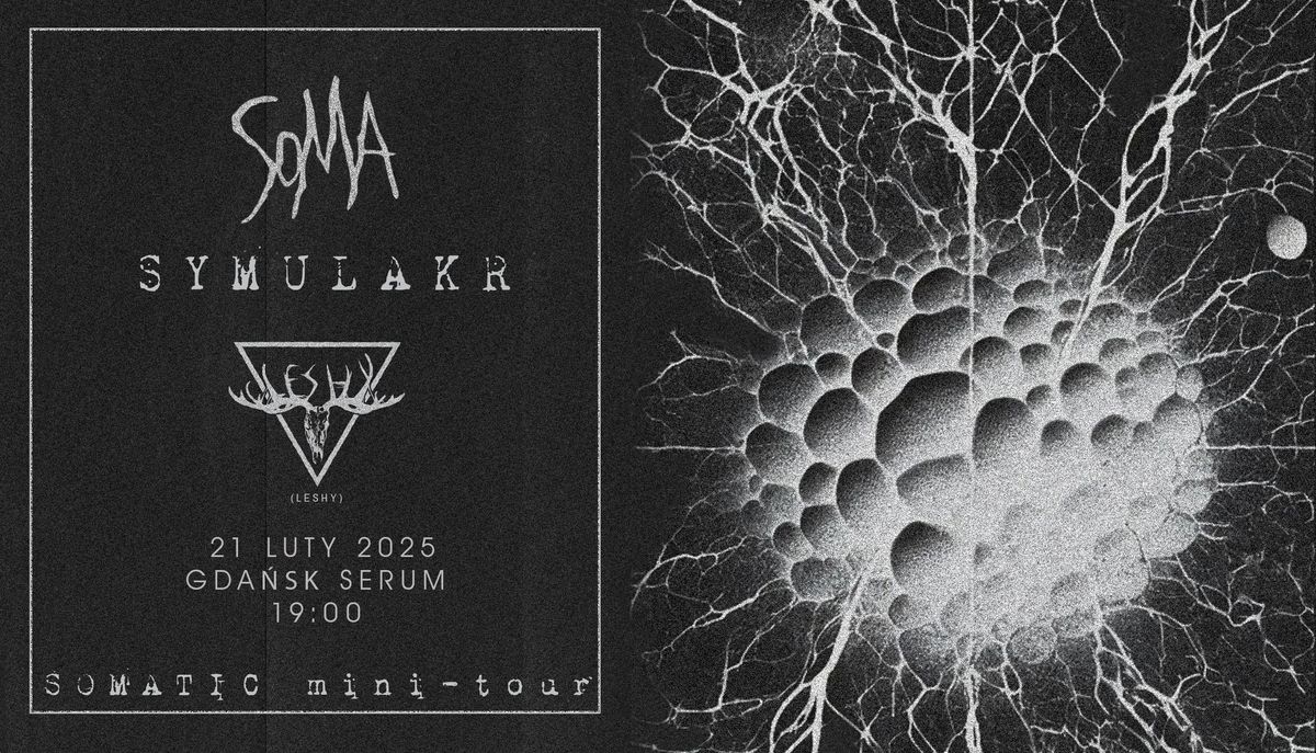 LESHY\/  SOMA\/  SYMULAKR | 21.02.2025 | SERUM